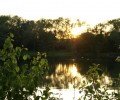 Joshofen Weiher